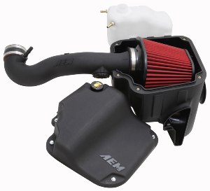 Система впуска AEM 21-8125DS B.F.H.D. FORD F150 V8-5.0L, 2011-2012