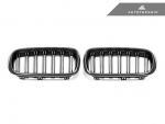 Решетка радиатора BMW F15 X15; F16 X6 карбон Autotecknic BM-0174-DS-CF